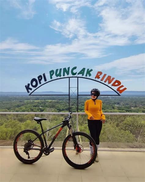 Kopi Puncak Rindu Bantul Lokasi Dan Tiket Masuk