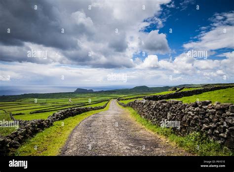 Portugal Azores Terceira Island Serra Do Cume Stone Wall Stock