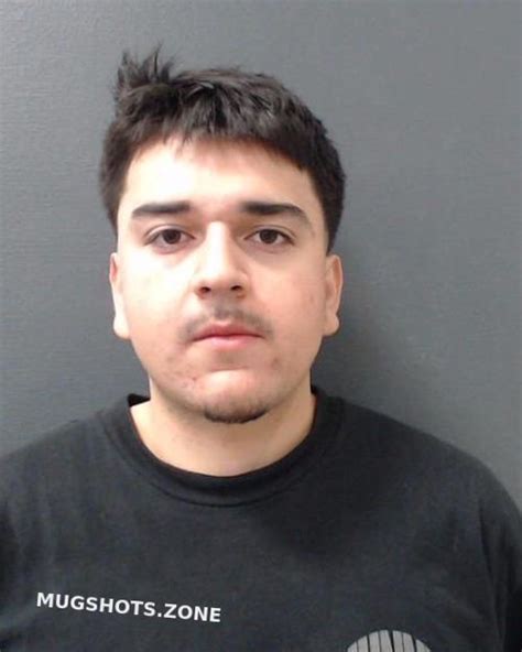 Silguero Daniel Comal County Mugshots Zone