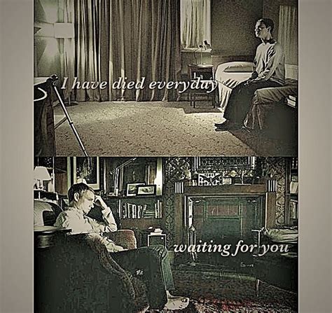 Darling I Have Loved You For A Thousand Years Johnlock Приключение