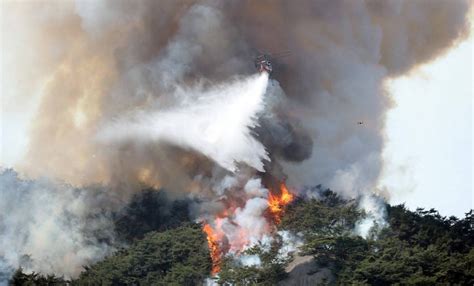 Dry spell leads to wildfires across South Korea | The Manila Times