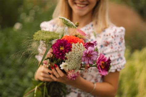 Seasonal vs. Year-Round Flowers: What You Need to Know – Dragonetti ...