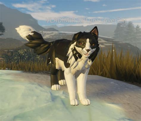 WCUE Non Cat Inspo Border Collie In 2024 Warrior Cat Drawings