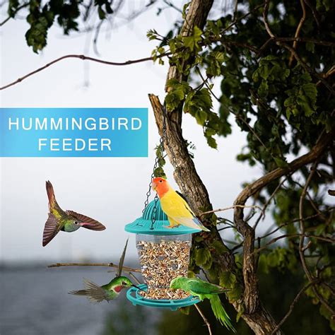 hummingbird feeder – Mesmee