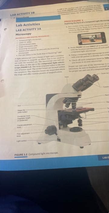 Solved Pre Lab Assignments Pre Tab A Asicnment 3a Microscopy