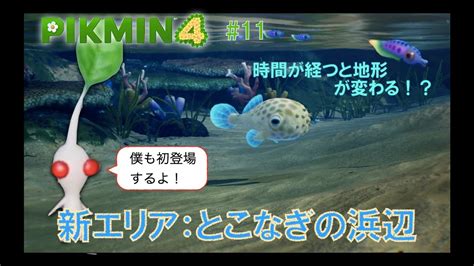 ピクミン4 11：新エリア「とこなぎの浜辺」に突入！潮汐を利用して探索せよ！！新種の白ピクミンも初登場！！ Youtube