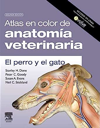 Atlas en color de anatomía veterinaria el perro y el gato Amazon co