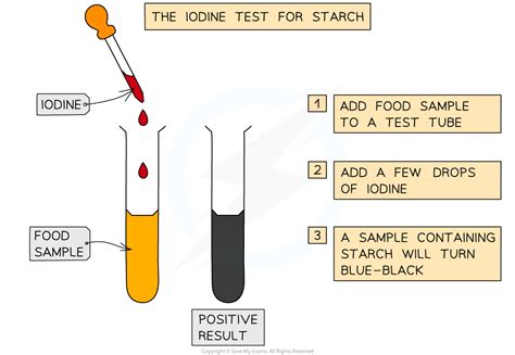 Practical Food Tests Edexcel GCSE Biology Revision Notes 2018