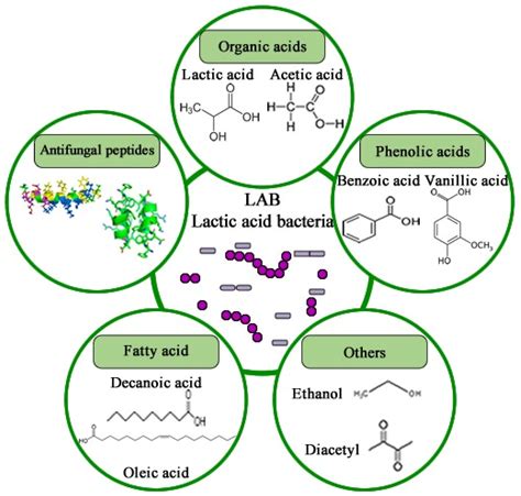 Foods Free Full Text Comprehensive Review Of Aflatoxin And