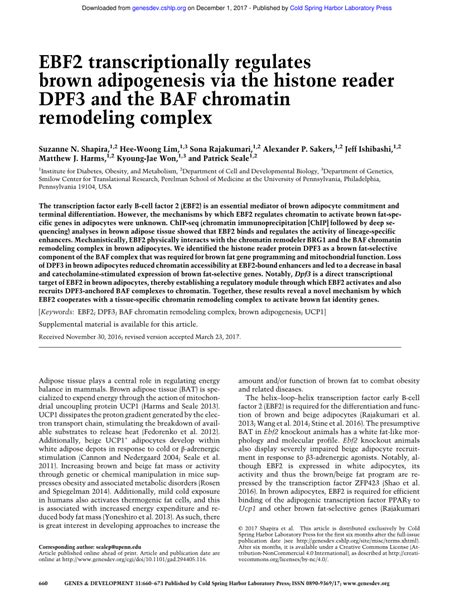 Pdf Ebf2 Transcriptionally Regulates Brown Adipogenesis Via The