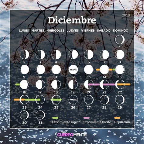 Calendario Lunar Para Corte De Cabello 2025 Printable Alie Lucila