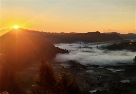 Inilah Cafe Paling Memikat Di Kintamani Bali Jangan Lewatkan Nomor