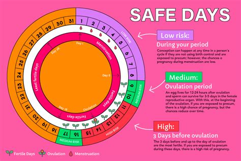 Menstrual Cycle Pregnancy Safe Period