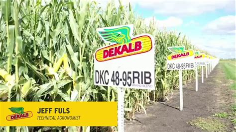 Dekalb Dkc Vt Double Pro New For Youtube