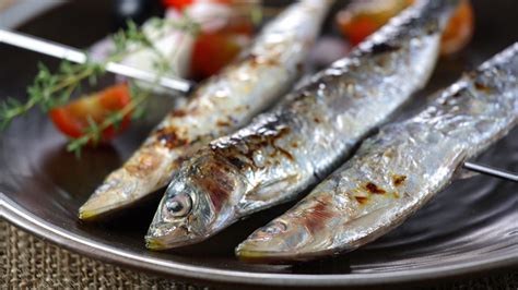 Principales Beneficios De Las Sardinas