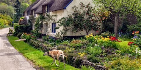 Exmoor Cottages | Self Catering Holiday Cottages | The Best of Exmoor