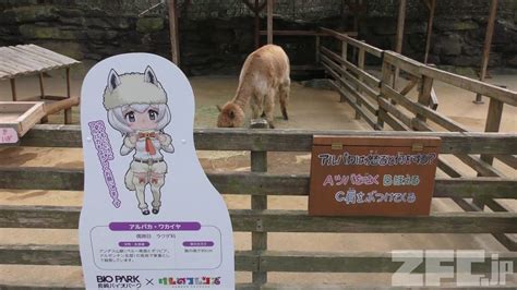 アルパカとけものフレンズパネル 長崎バイオパーク 2017年12月23日 Zfcjp