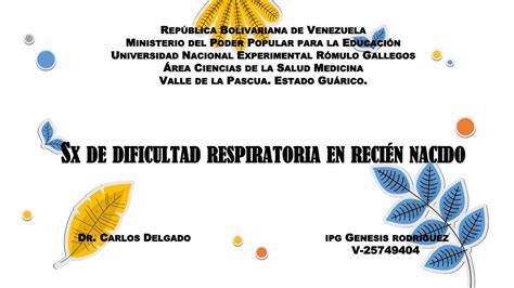 Síndrome Dificultad Respiratoria En Recién Nacido Genesis Rodriguez Udocz