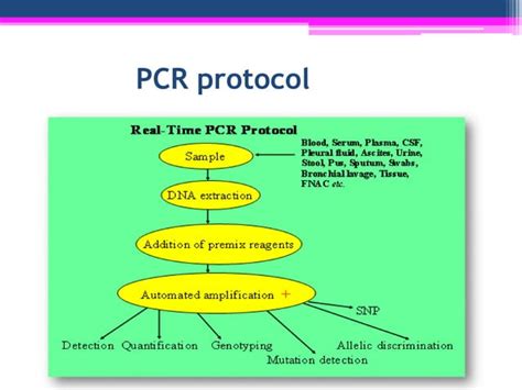 Technique Of Polymerase Chain Reaction Pcr Experimental Biotechnology