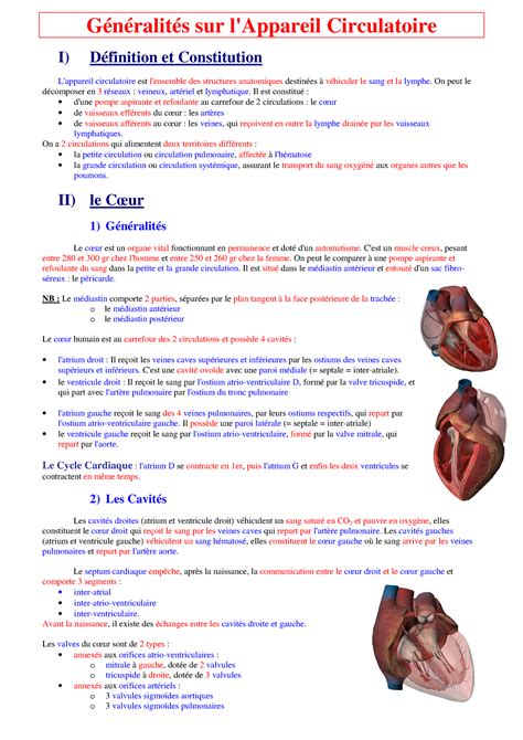 G N Ralit S Sur L Appareil Circulatoire G N Ralit S Sur L Appareil