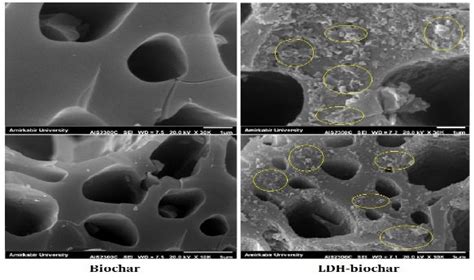 sem images  biochar left  ldh biochar