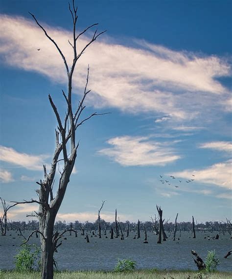 Standing Over Lake Mulwala By Kllebou On Deviantart