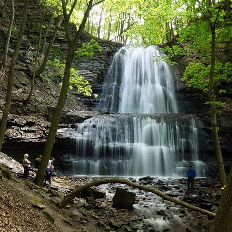 THE 15 BEST Things to Do in Hamilton - 2023 (with Photos) - Tripadvisor