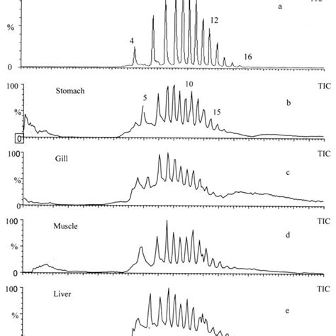 The Typical Liquid Chromatography Mass Spectrometry Chromatograms Of