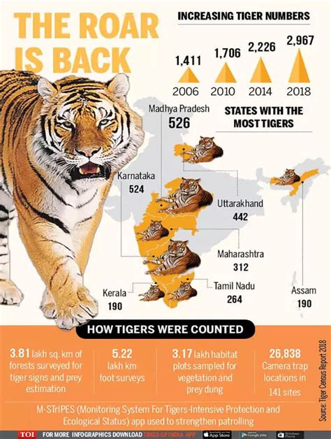 India Home To 2967 Tigers Says Census Revealed On Global Tiger Day