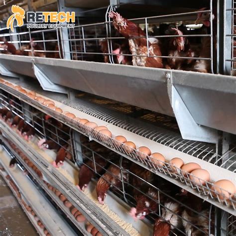 Buy Modern Design H Type Automatic Egg Poultry Farms Battery Layer