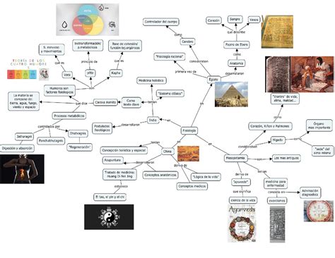 Ayurveda Mapa Conceptual Jlibalwsap