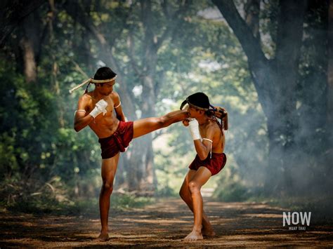 Unlock Your Potential Discover Muay Thai Lifestyle Now Muay Thai