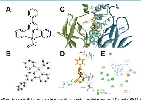 Figure 1 from NF-κB hijacking theranostic Pt(ll) complex in cancer ...