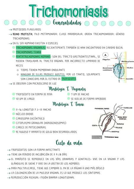 Tricomoniasis Ana Mar A Alvarez Udocz