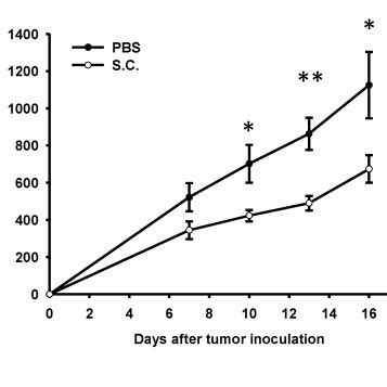 Antitumor Effects Of Salmonella On Mice Bearing Atc Balb C Nude Mice