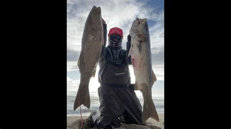 Surf Fishing California Surfperch And Striped Bass Fishing Memorial