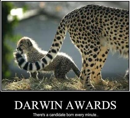 Revisiting the Darwin Awards