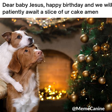 12 Christmas Dog Memes: Dog Mom Humor | YoCanine