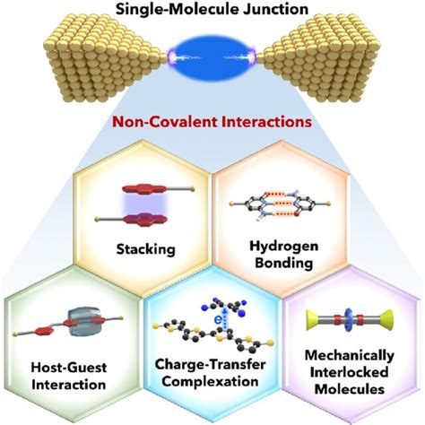 Schematic Of Different Non Covalent Interactions Featured In A Download Scientific Diagram