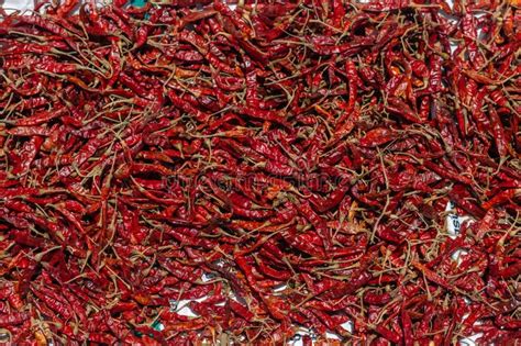 Close Up Dried Chilli Background Red Hot Chili Wallpaper Stock Photo