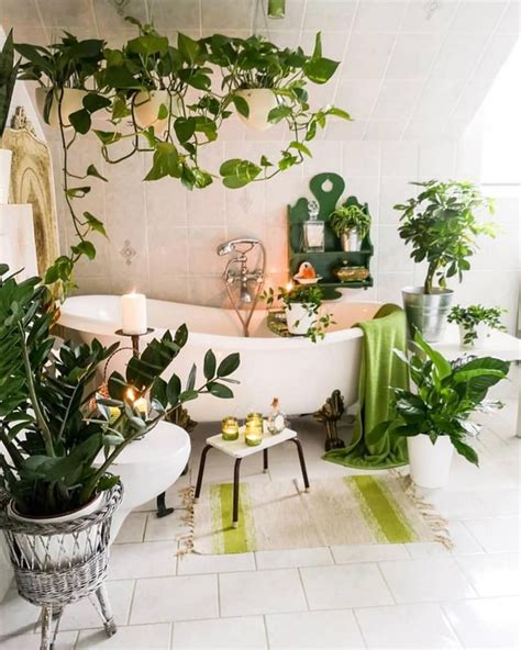 8 Plantas Perfeitas Para Decorar O Banheiro