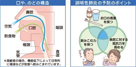 口腔ケアと誤嚥性肺炎 けんせい歯科