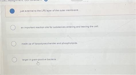 Solved The periplasmic space is Multiple Choice absent in | Chegg.com