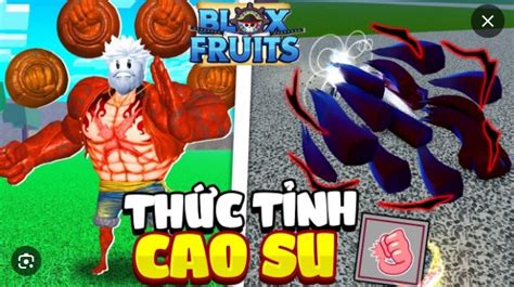 Tr I Cao Su Trong Blox Fruit S C M Nh H Nh Nh H C Ch L Y Gi Bao