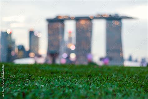 Singapore January 25 2017green Grass Field With Blurred Marina Bay