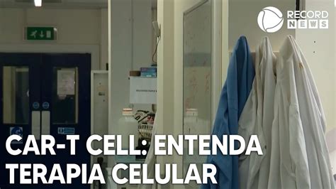 Car T Cell Entenda Como Funciona A Terapia Celular Que Gerou Remiss O