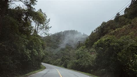 HD wallpaper: thailand, chiang mai, cold, mountain, jungle, road, open, empty | Wallpaper Flare