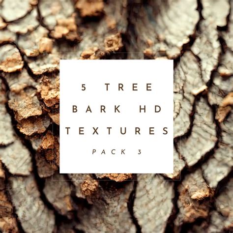 Tree Bark Digital Paper Pack 3 Wood Texture Paper Wooden Paper Wood Grain Backgrounds Wood