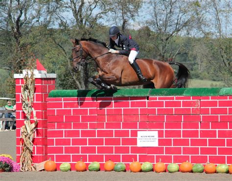 2013 Plantation Field Horse Trials | Eventing Nation - Three-Day ...