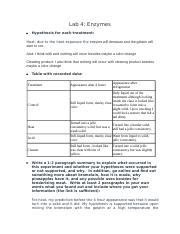 Lab 4 Enzymes Docx Lab 4 Enzymes Hypothesis For Each Treatment Heat